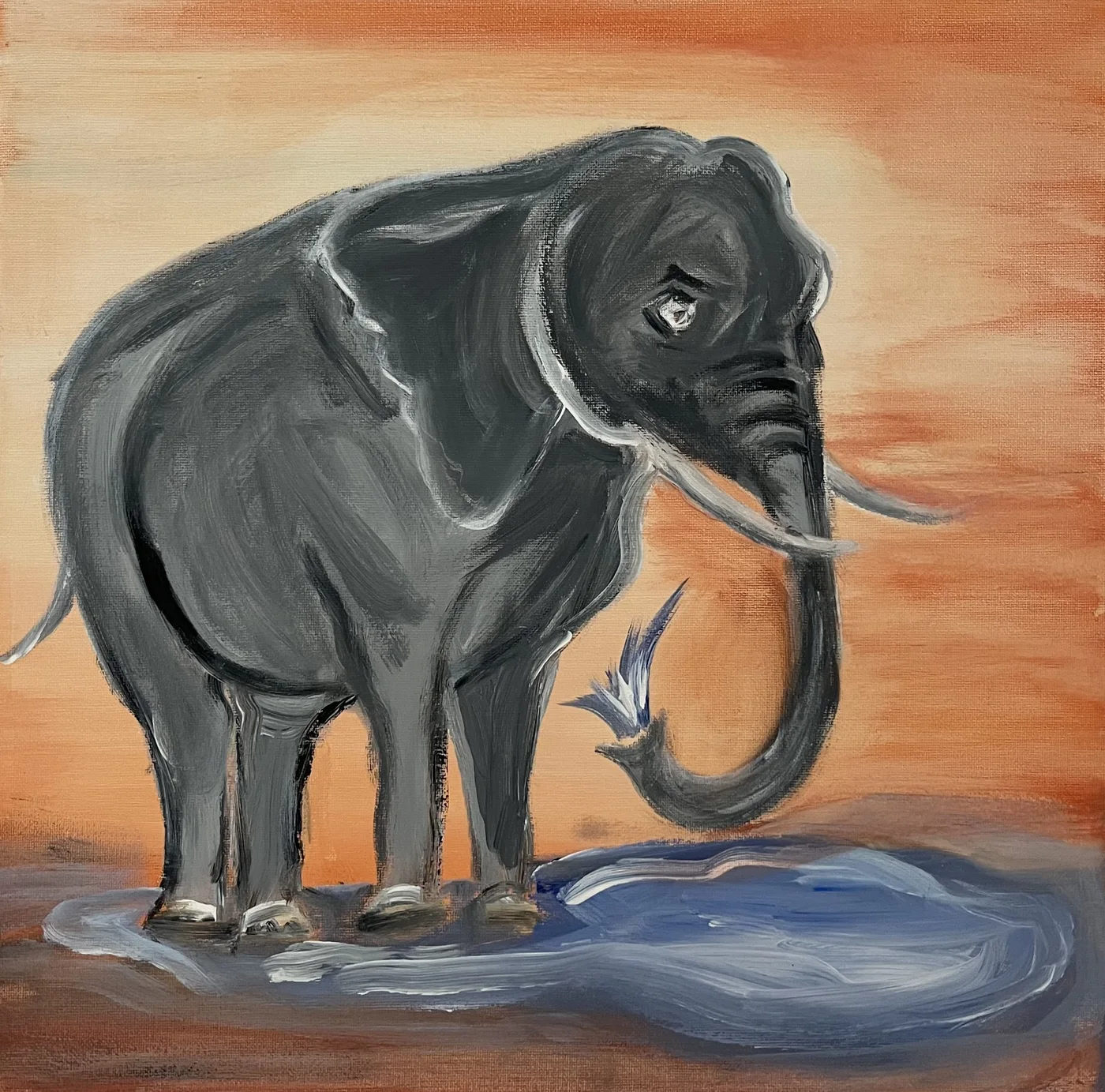 Grauer Elefant vor einem warmen orangefarbenen Hintergrund